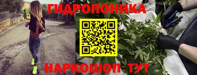 синтетический гашиш Будённовск