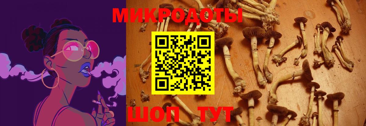 Салават  цена   Вход с VPN  Галлюциногенные грибы Magic Shrooms  Галлюциногенные грибы Magic Shrooms 